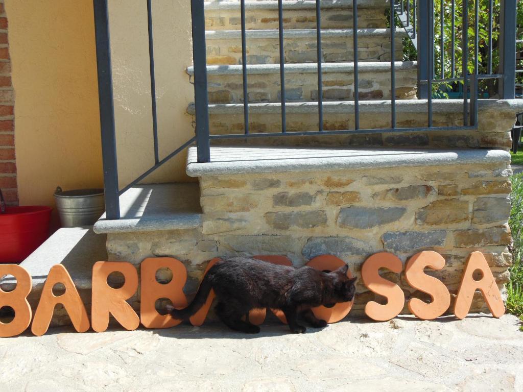 דוליאני Agriturismo Affittacamere Barbarossa מראה חיצוני תמונה